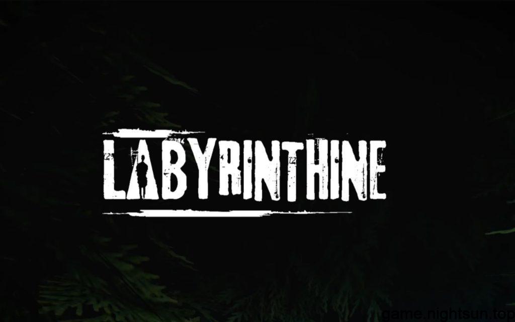 迷宫 [Labyrinthine] [Build11965072] 官方中文版 [10.88G]